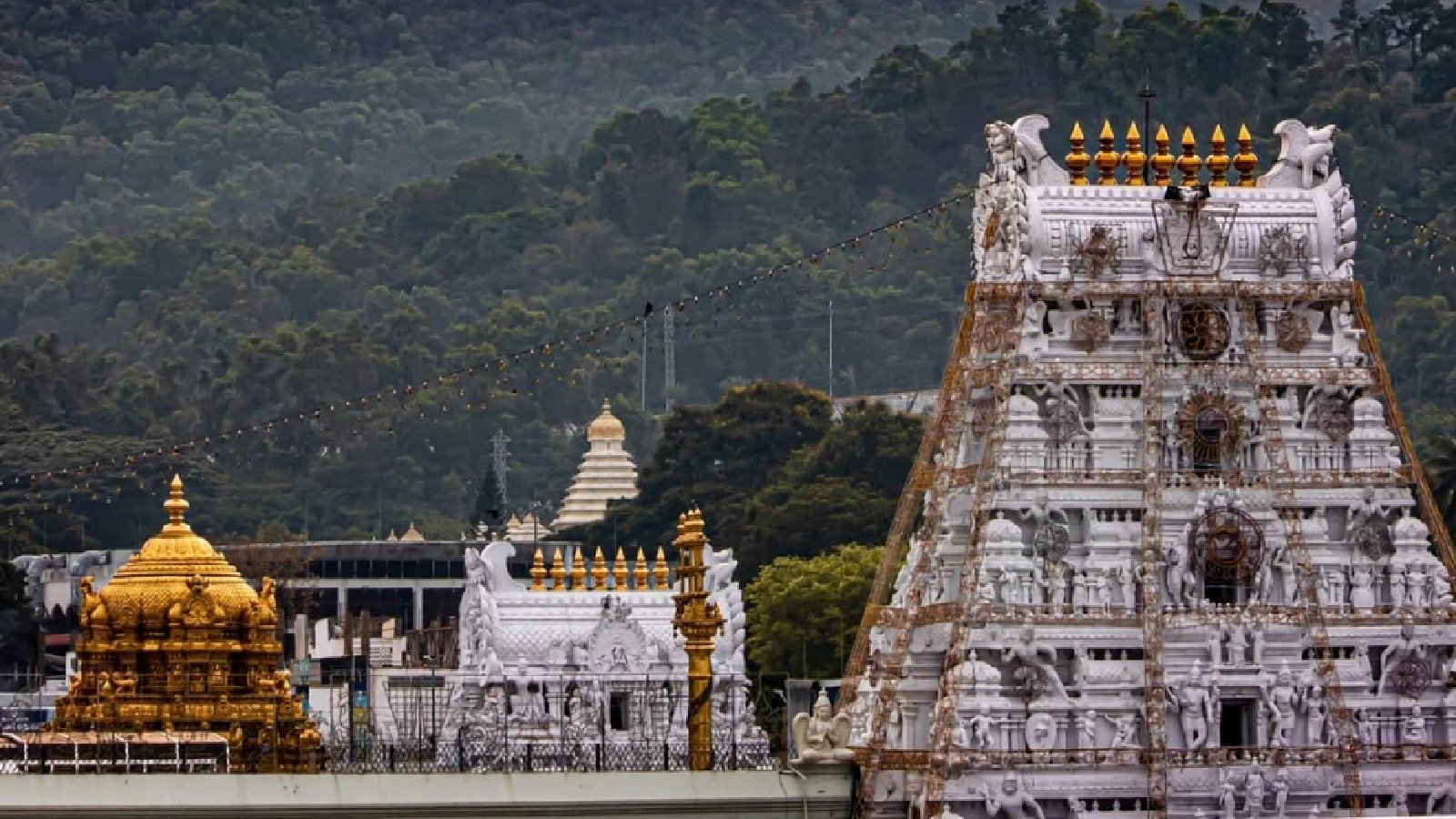 Tirumala darshan timings