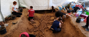 Headless skeletons discovered at the 7,000-year-old Vrable Neolithic settlement in Slovakia.