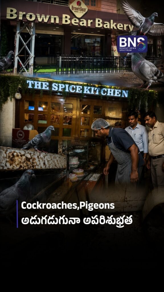 Hyderabad Food Inspection Shock | స్టోరేజీలో పాతబడ్డ ఆహారం గుర్తింపు