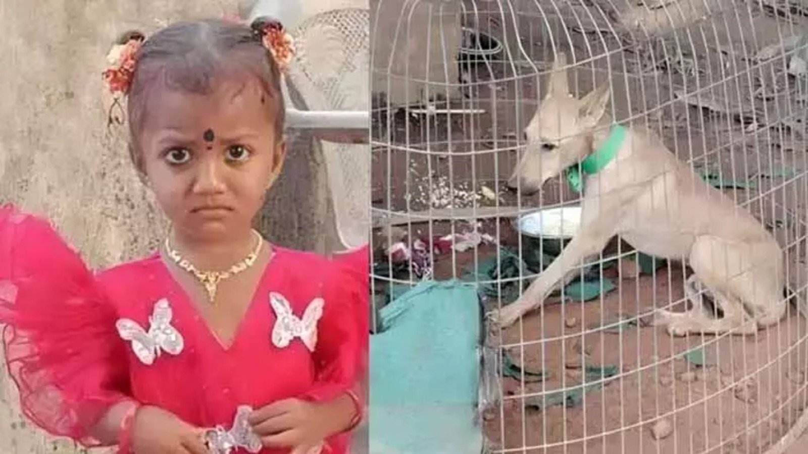 gnaneshwari and dog missing kakinada