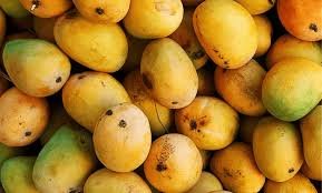 Two sisters from a Hyderabad family who fell ill after consuming mangoes, as police investigate the cause.