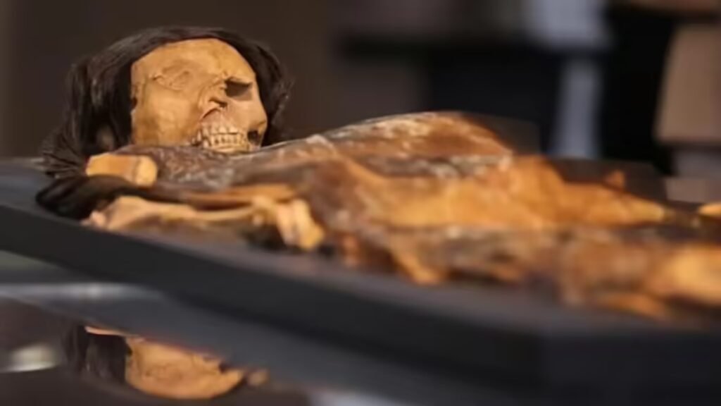 inside mummy