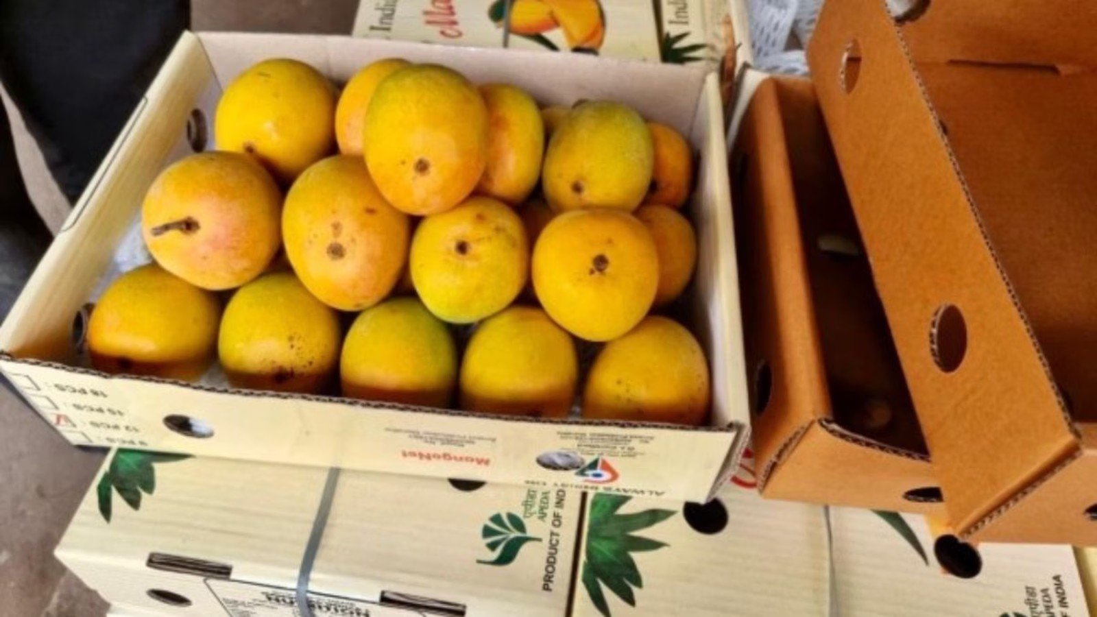 nepal mangoes india banned