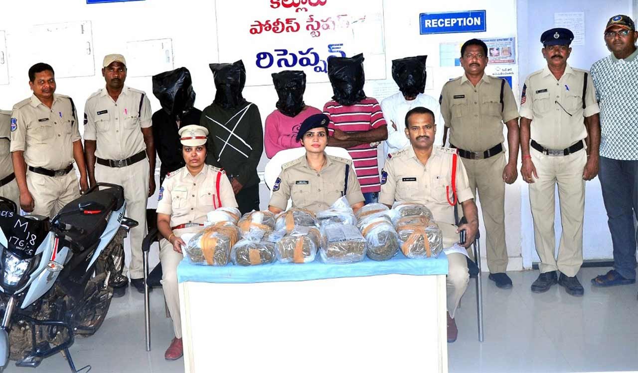 Police display seized 23 kg ganja in Khammam.