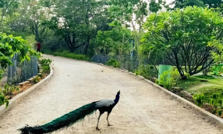 Officials inspect roads around KBR Park for one-way traffic plan.