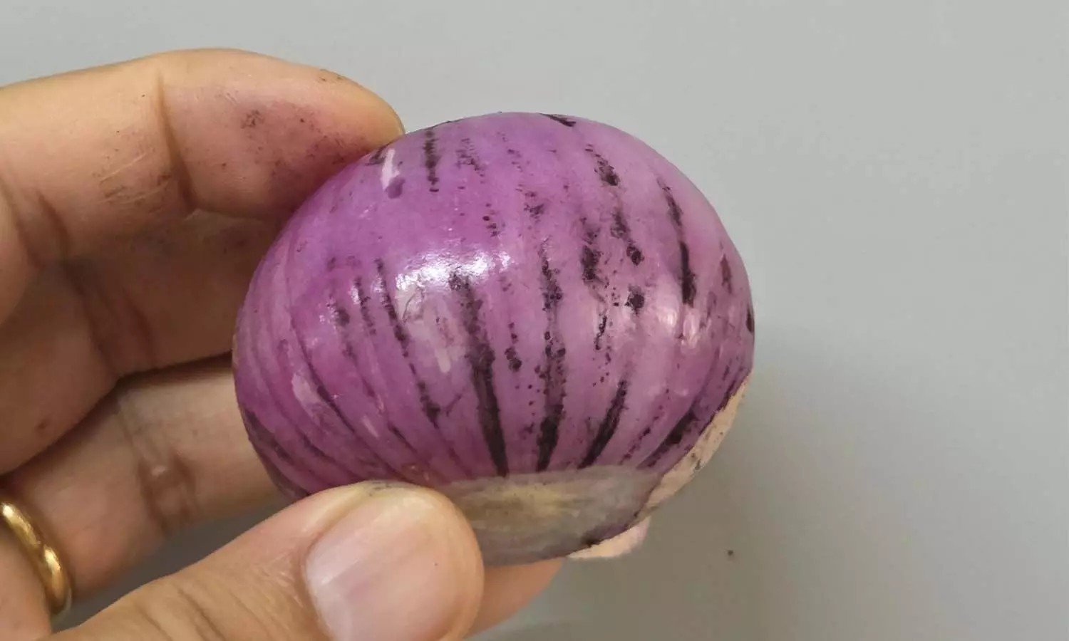 Black spots visible on a fresh onion surface.