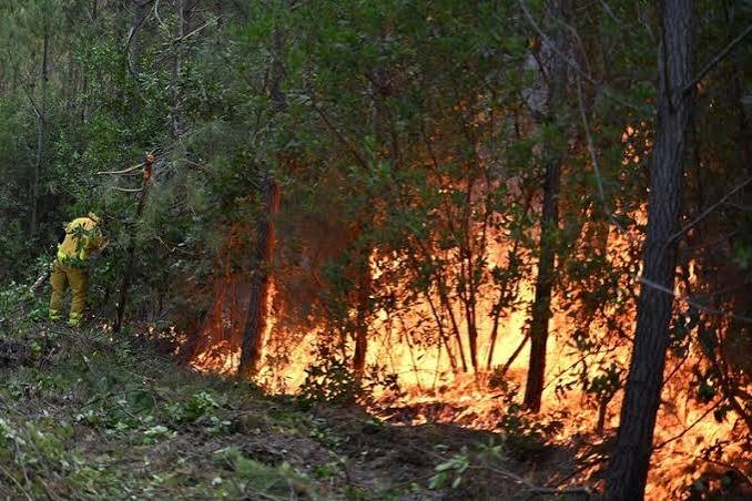 France Wildfire