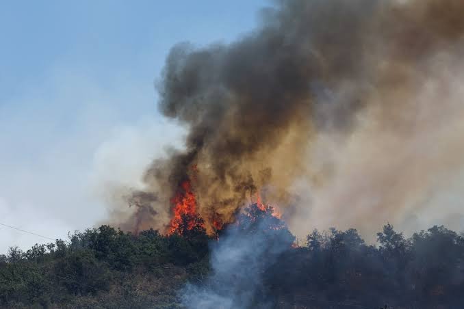 France Wildfire