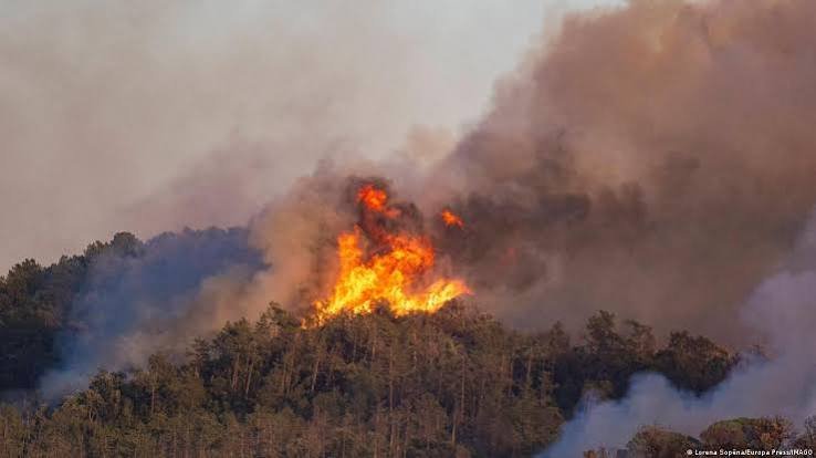 Spain Wildfire Near Almeria Kills Six Amid Severe Heatwave