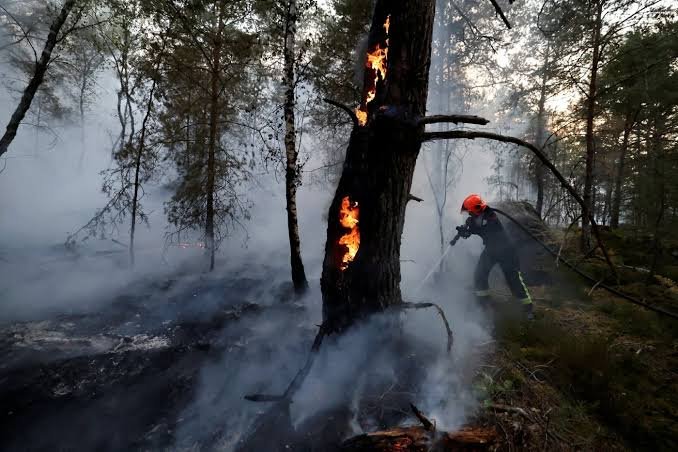 France Wildfires