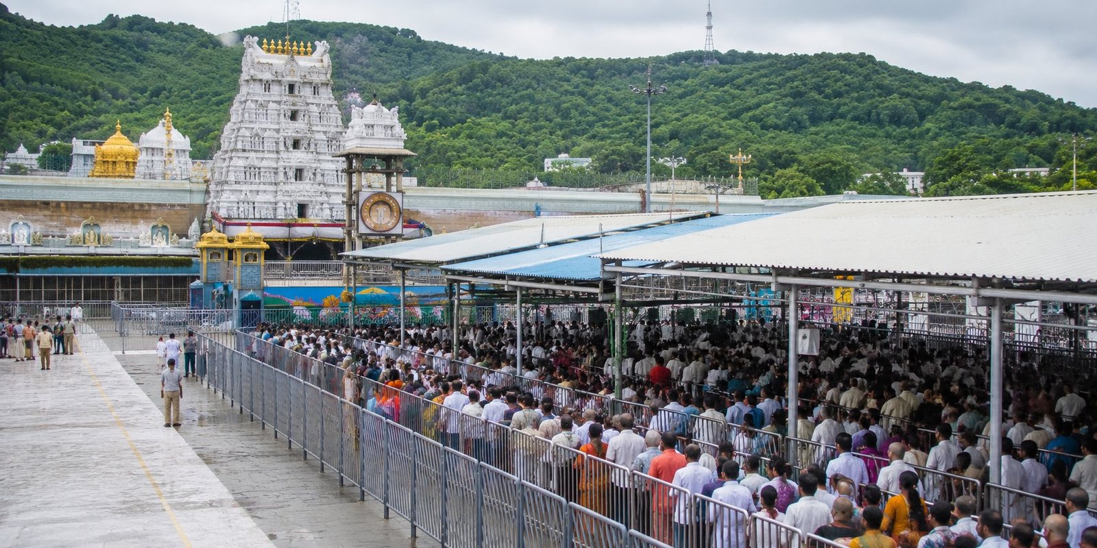 Devotees waiting for Srivari darshan at Tirumala queue complex.