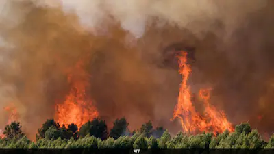 Massive Wildfires
