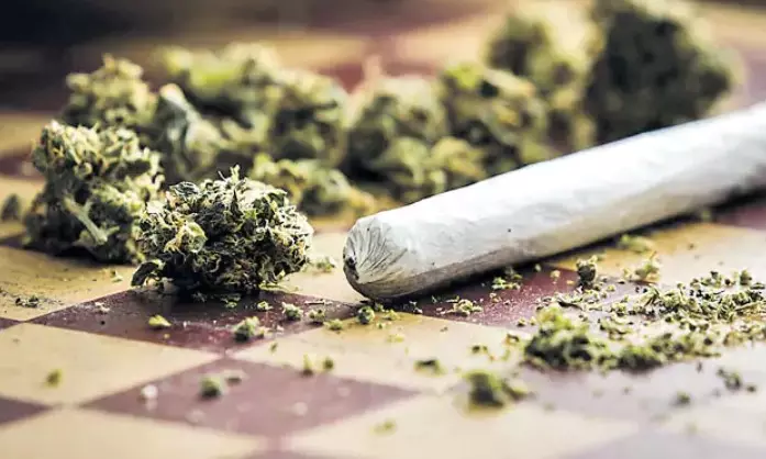 Police seize 38 kg ganja in Hyderabad from five suspects.