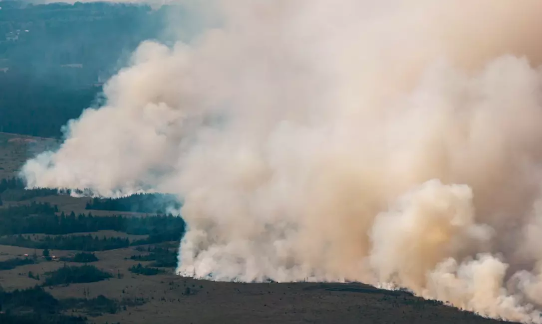 Belgium wildfire