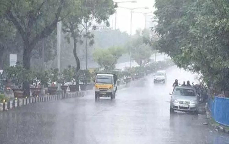 Telangana rains