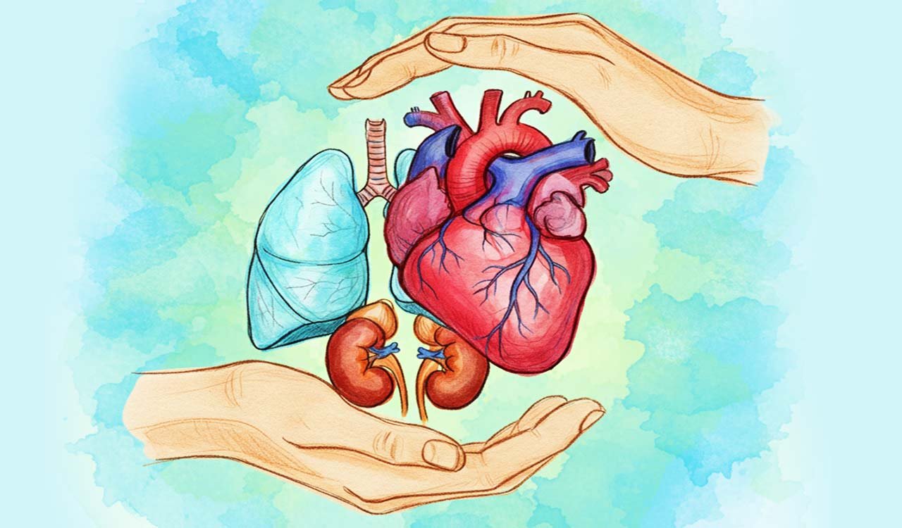 Adilabad businessman organ donation helps save four patients.