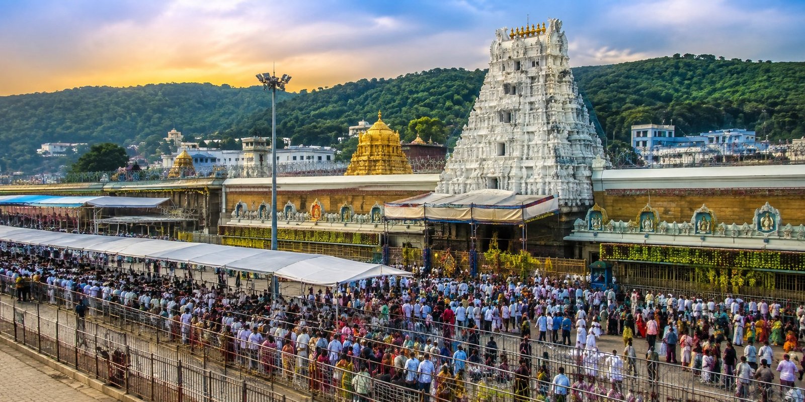 Devotees waiting for Lord Venkateswara darshan at Tirumala