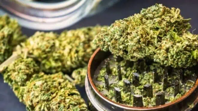 Minor arrested with 48 kg marijuana in Hyderabad