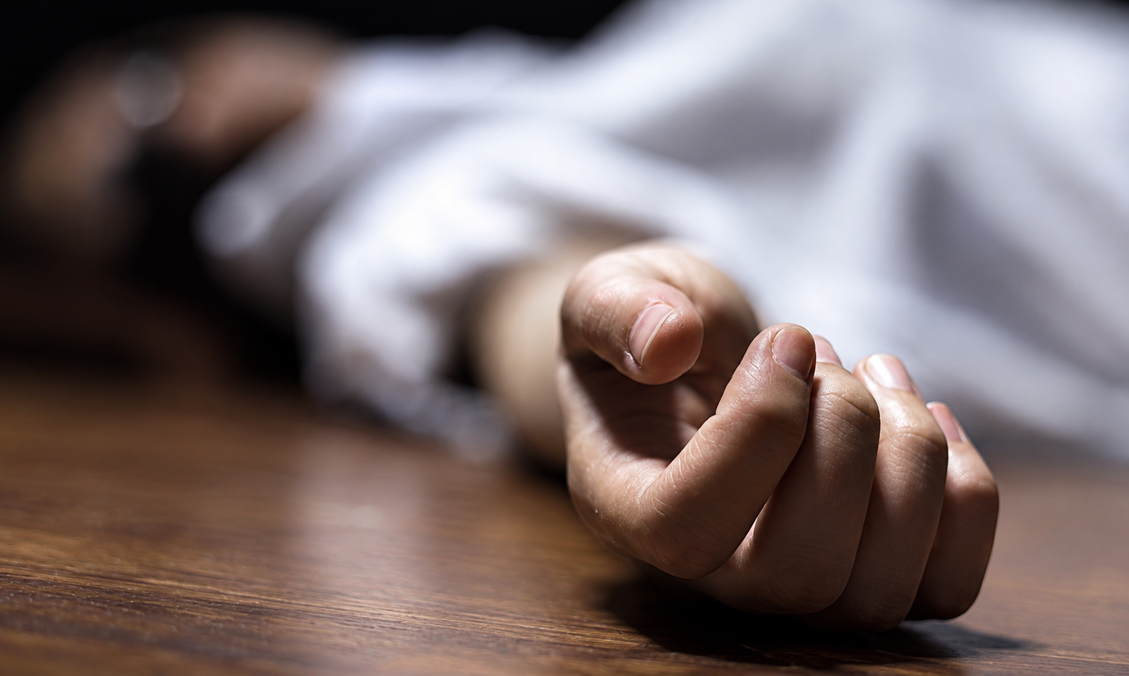 Haryana dowry murder case involving woman and infant