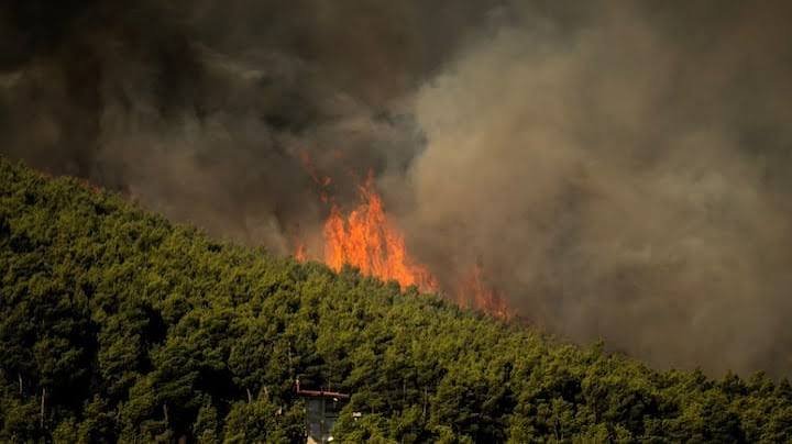 Greece Wildfires