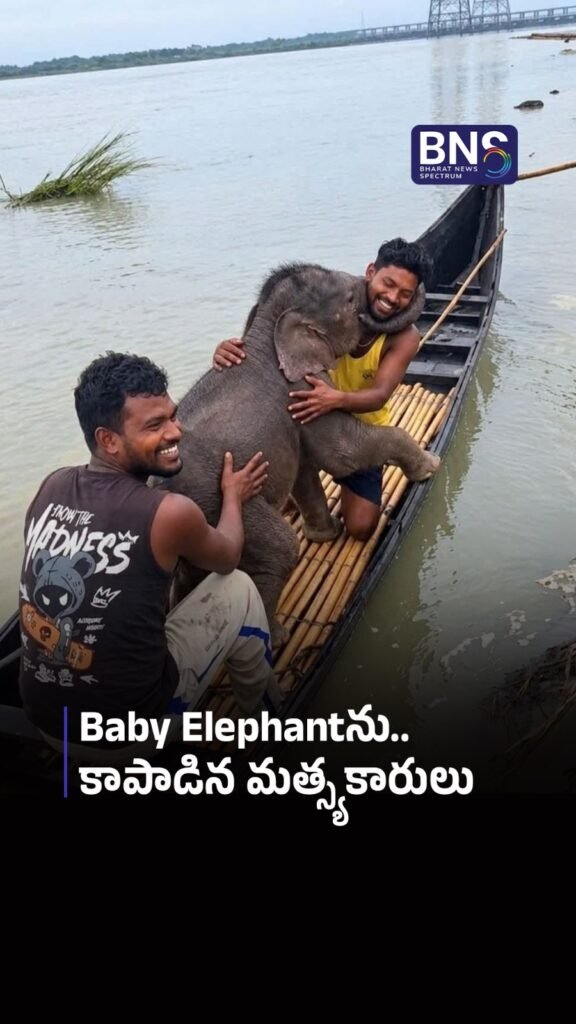 Baby Elephantను.. కాపాడిన మత్స్యకారులు | ELEPHANT CALF RESCUED
