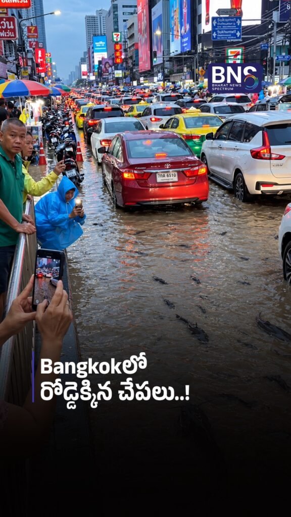 Bangkokలో రోడ్డెక్కిన చేపలు..! | Bangkok Floods