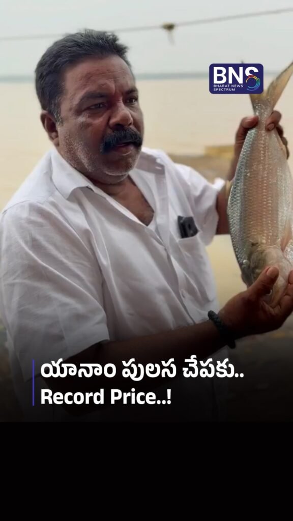 యానాం పులస చేపకు Record Price..! | YANAM AUCTION SHOCKER!
