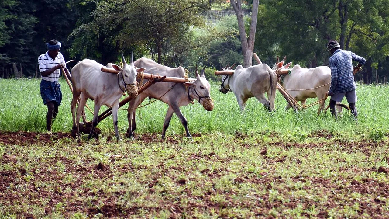 Annadata Sukhibhava payment update for Andhra Pradesh farmers
