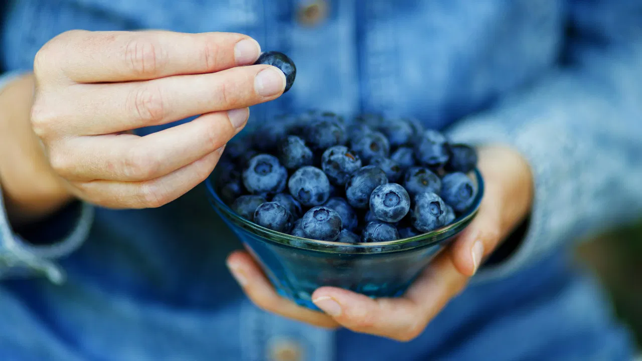 Child eating fresh blueberries as a healthy snack