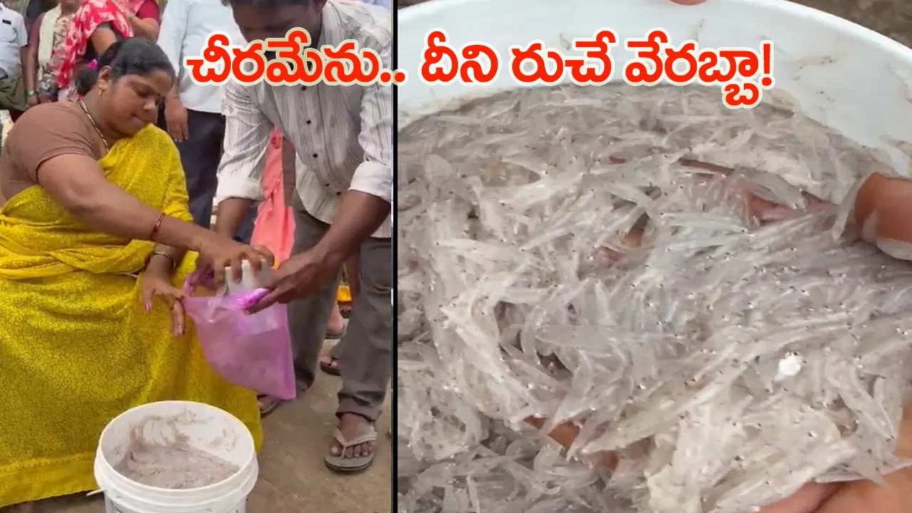 Chirameenu fish being sold at Yanam market
