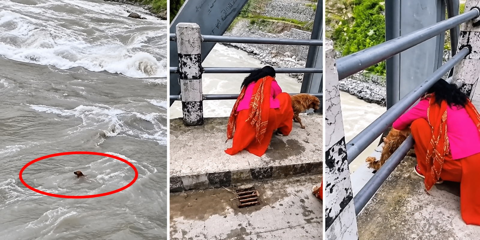 Viral video shows dog being thrown into Seti River in Nepal.