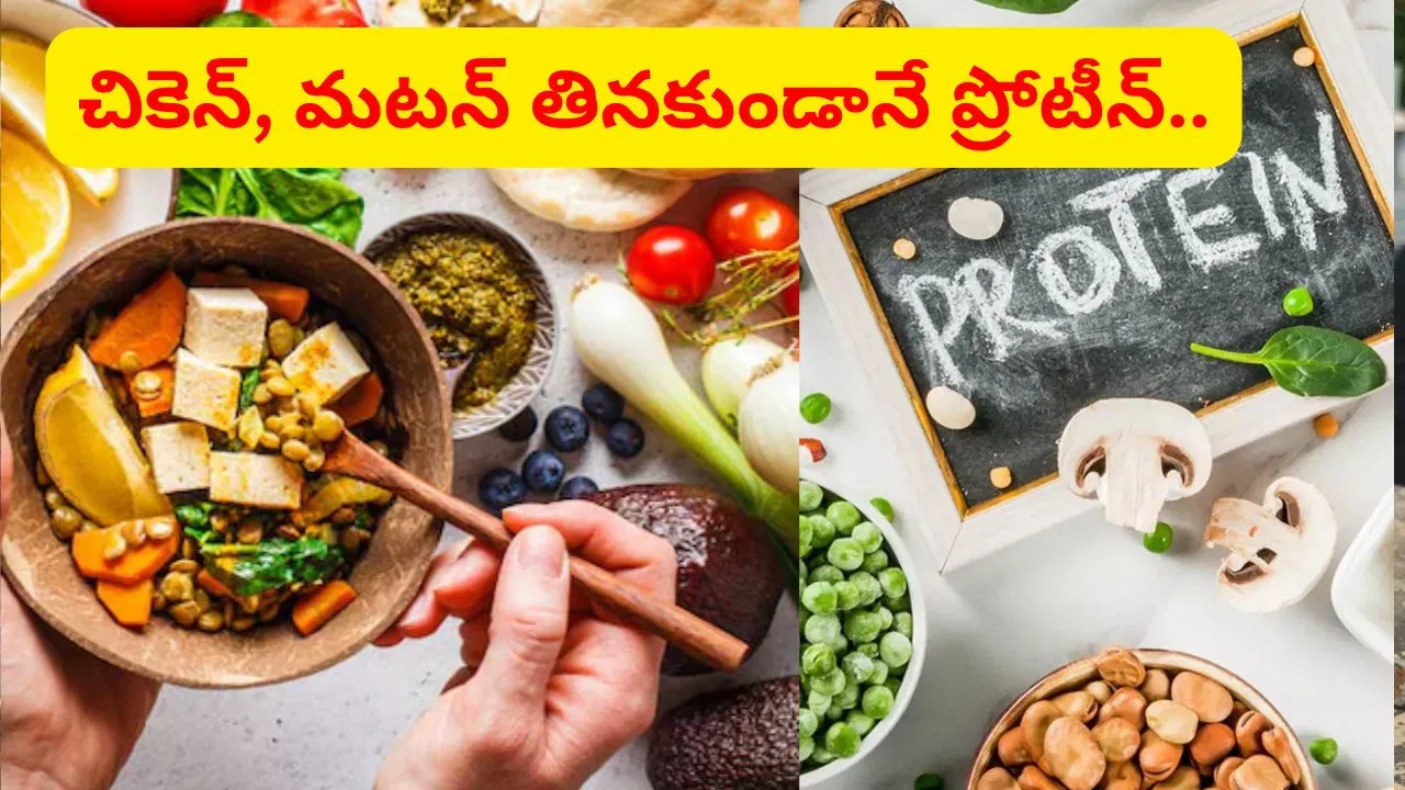 High protein vegetarian foods including soybean, peanuts and pulses.