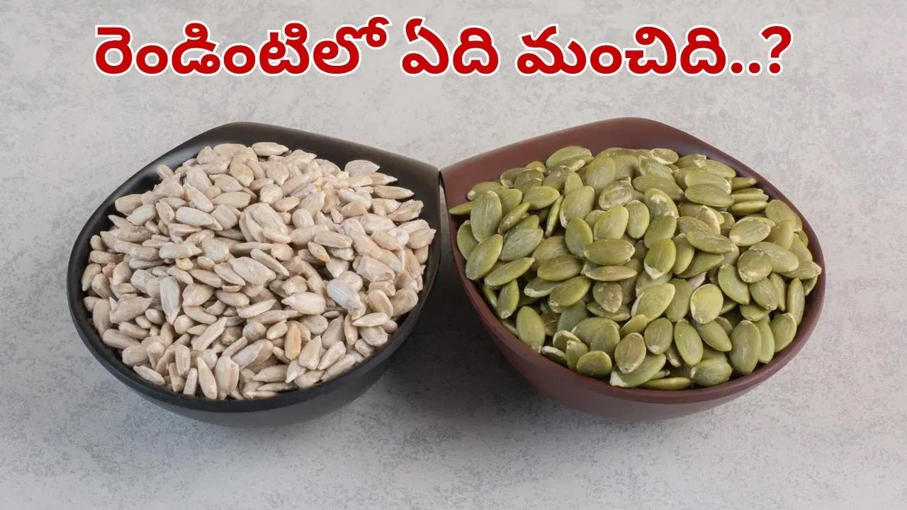 Pumpkin seeds and sunflower seeds in separate bowls for comparison.