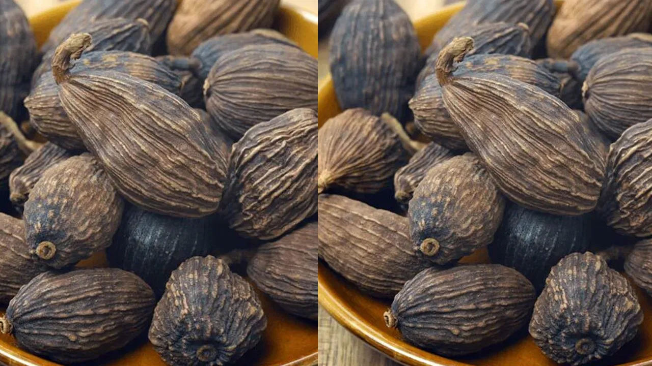 Cardamom powder and blood pressure monitor for hypertension awareness