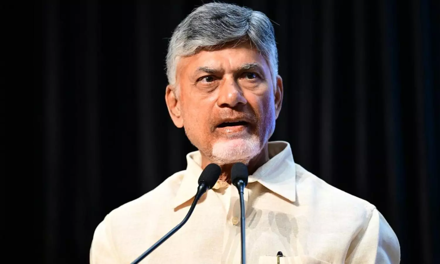 Chandrababu Naidu speaking about Andhra Pradesh development plans