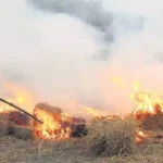 రైతులారా.. వరి కొయ్యలను తగలబెట్టొద్దు!