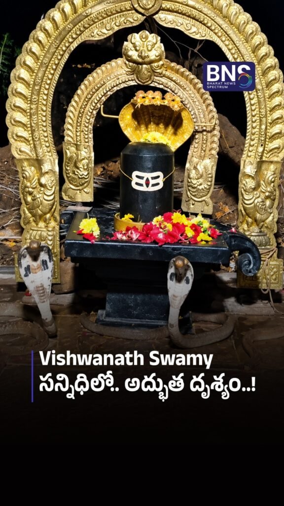Vishwanath Swamy సన్నిధిలో.. అద్భుత దృశ్యం..! | Shivalingam ముందు పడగవిప్పిన పాములు
