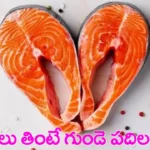 చేపలు తింటే గుండెపోటు రాదా? వారానికి ఎన్నిసార్లు తినాలి?