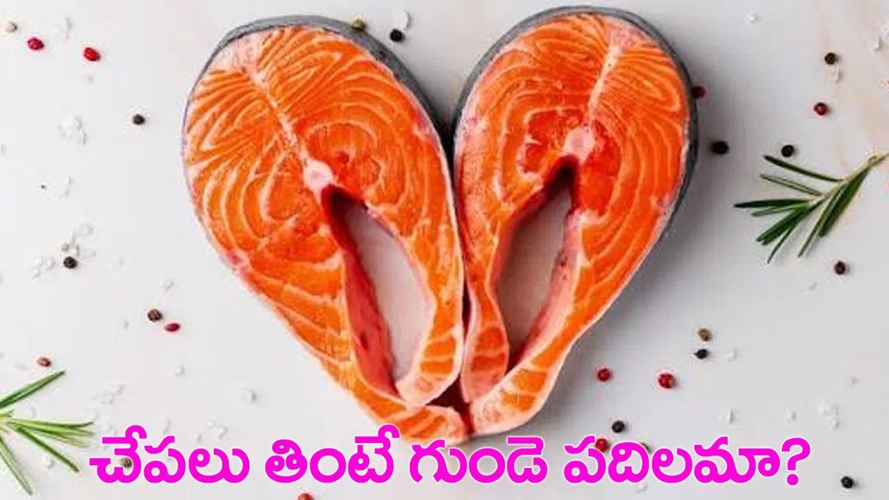 Healthy fish varieties rich in omega-3 for a balanced heart-friendly diet.