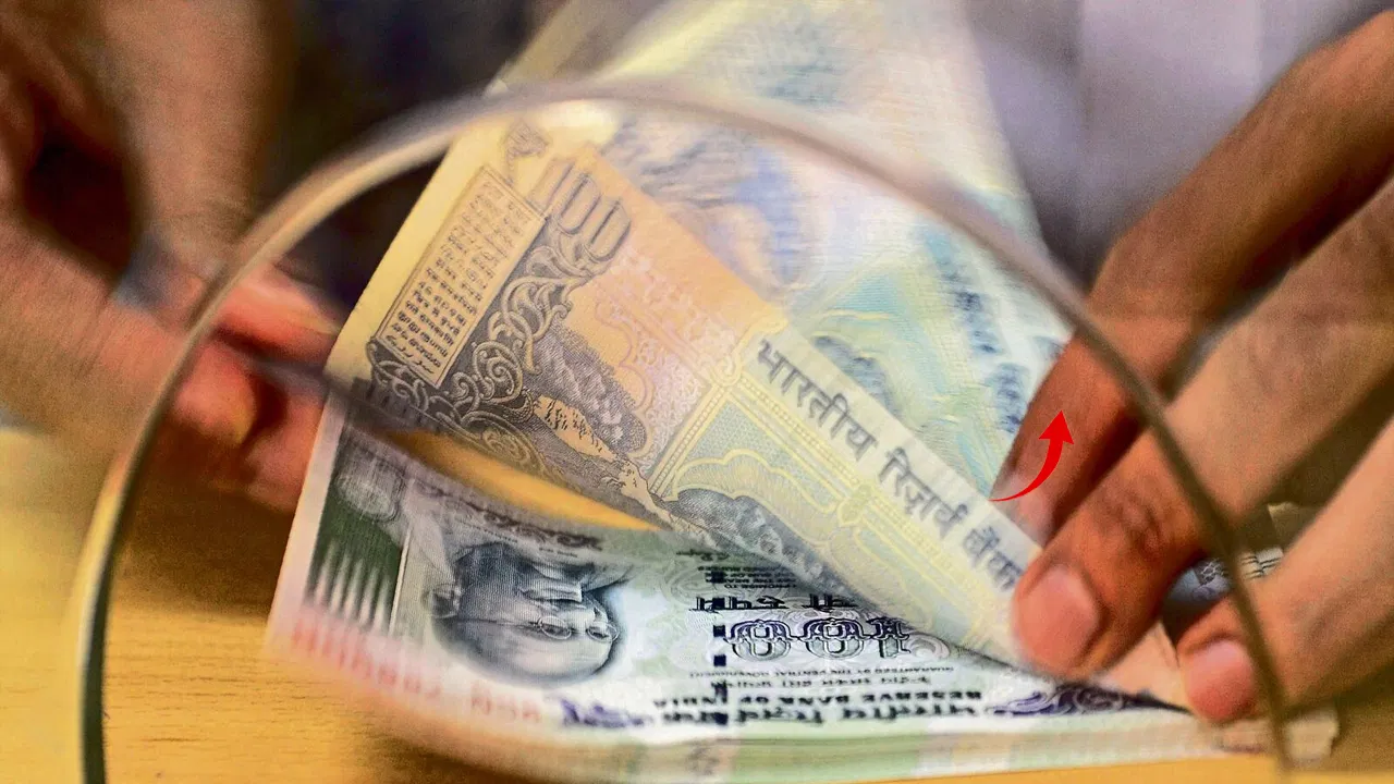 RBI new bulk deposit rules for large fixed deposits