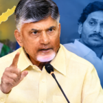 స్థానిక సంస్థల ఎన్నికలను అడ్డుకునేందుకు వైసీపీ కుట్రలు చేస్తోంది: చంద్రబాబు