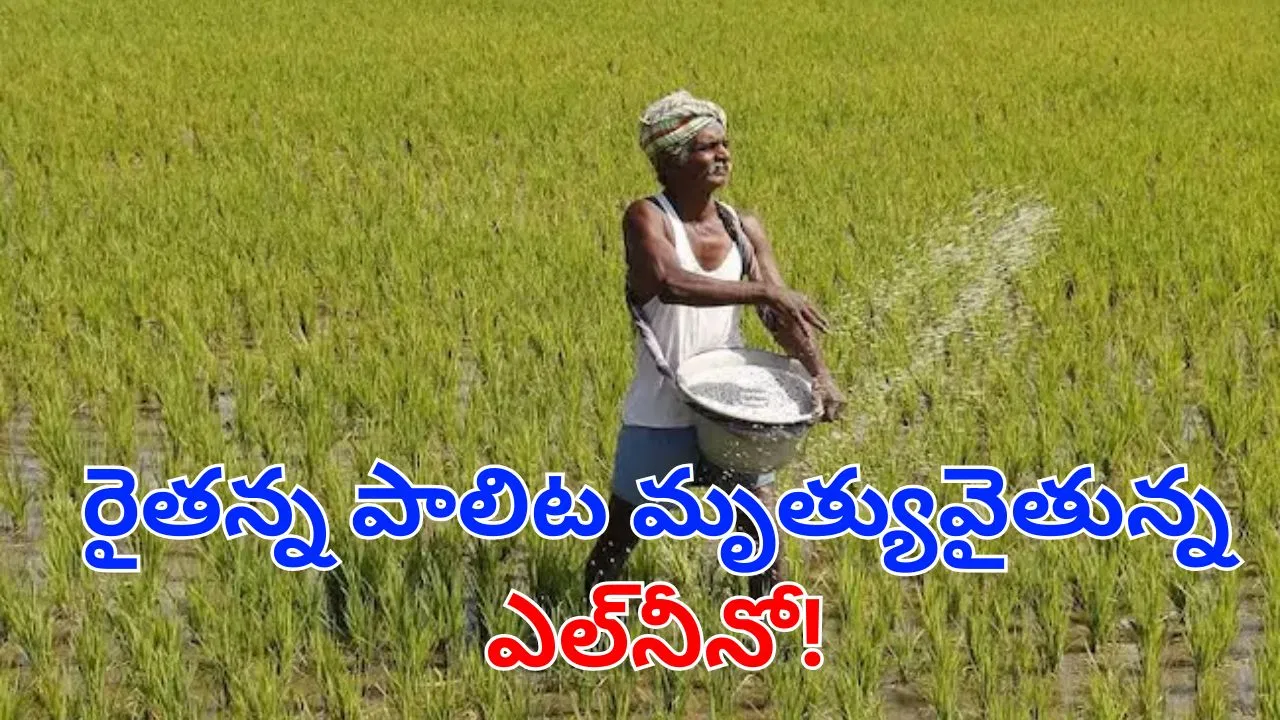 Farmers working in hot weather in rural Andhra Pradesh.
