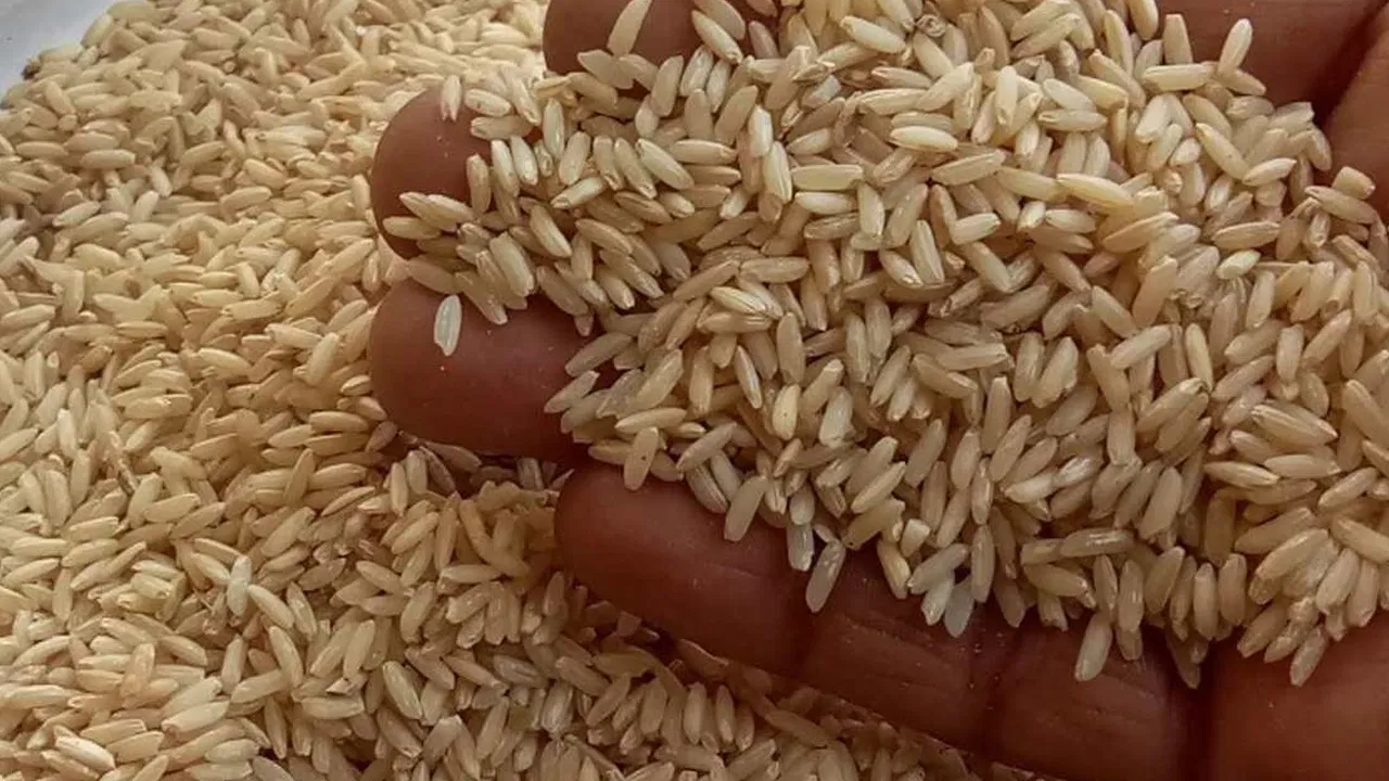 Brown rice and millets with nutritious whole grains