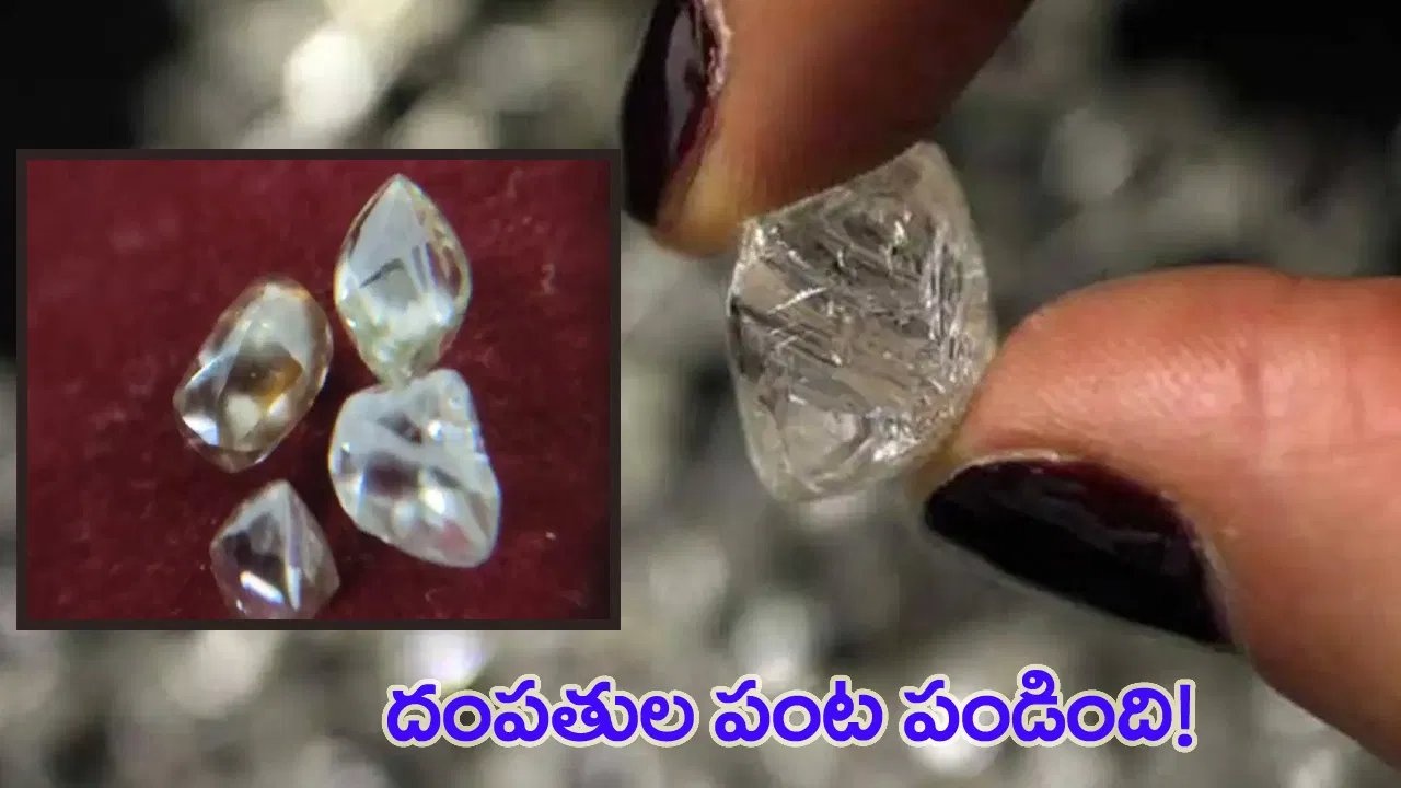 Jhansi couple with four diamonds found in Panna mine