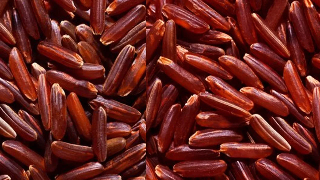 Bowl of nutritious red rice compared with white rice